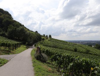 Fahrradtour zur Strahlenburg